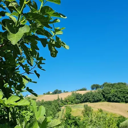 Verdi Colline Апартаменты *